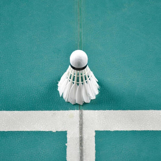 Curiosity Crew: Badminton - logo